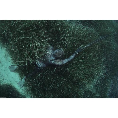 Cressi Tracina 5 mm kurtka (LE465002)